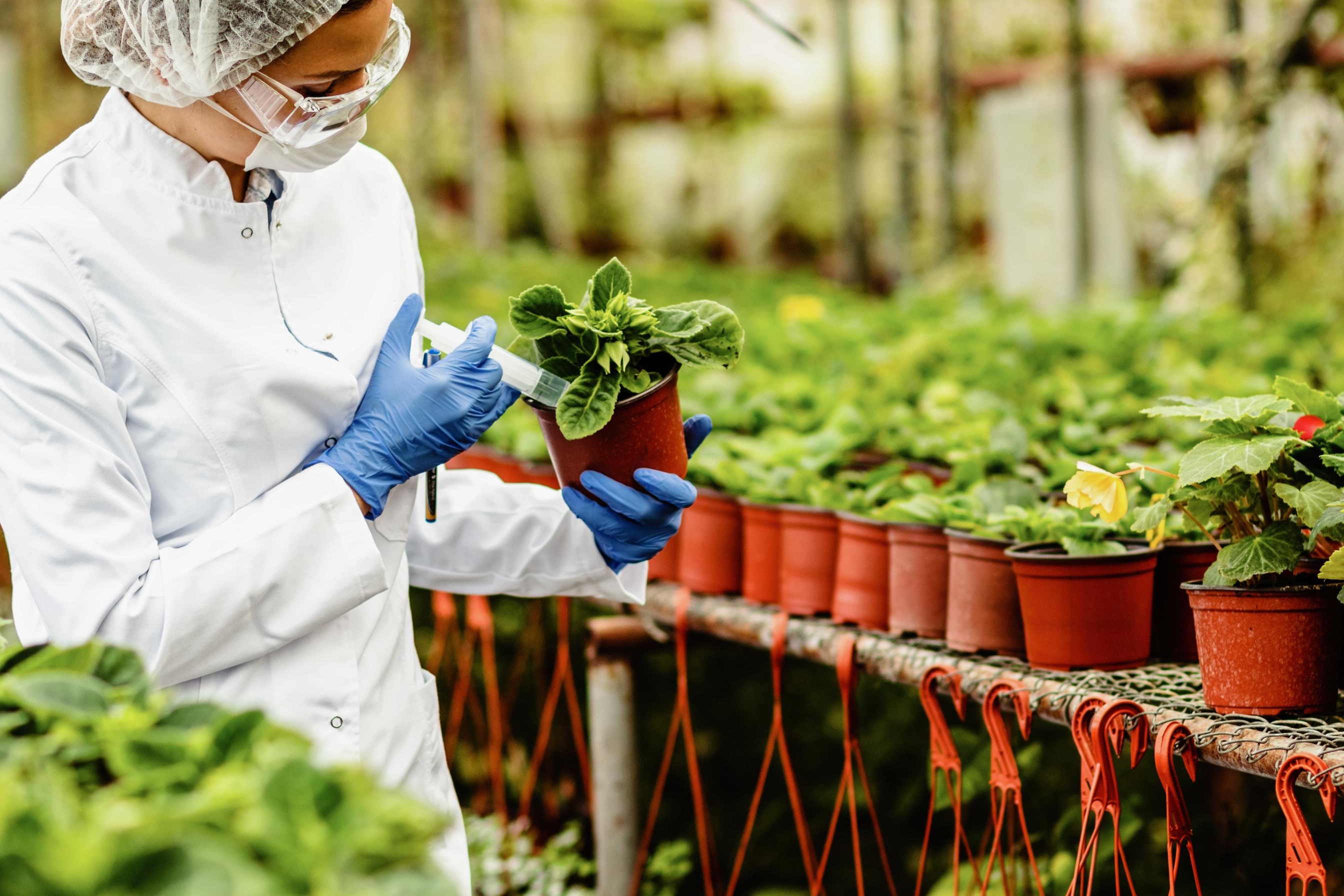 Agriculture, Food Processing & Food Tech